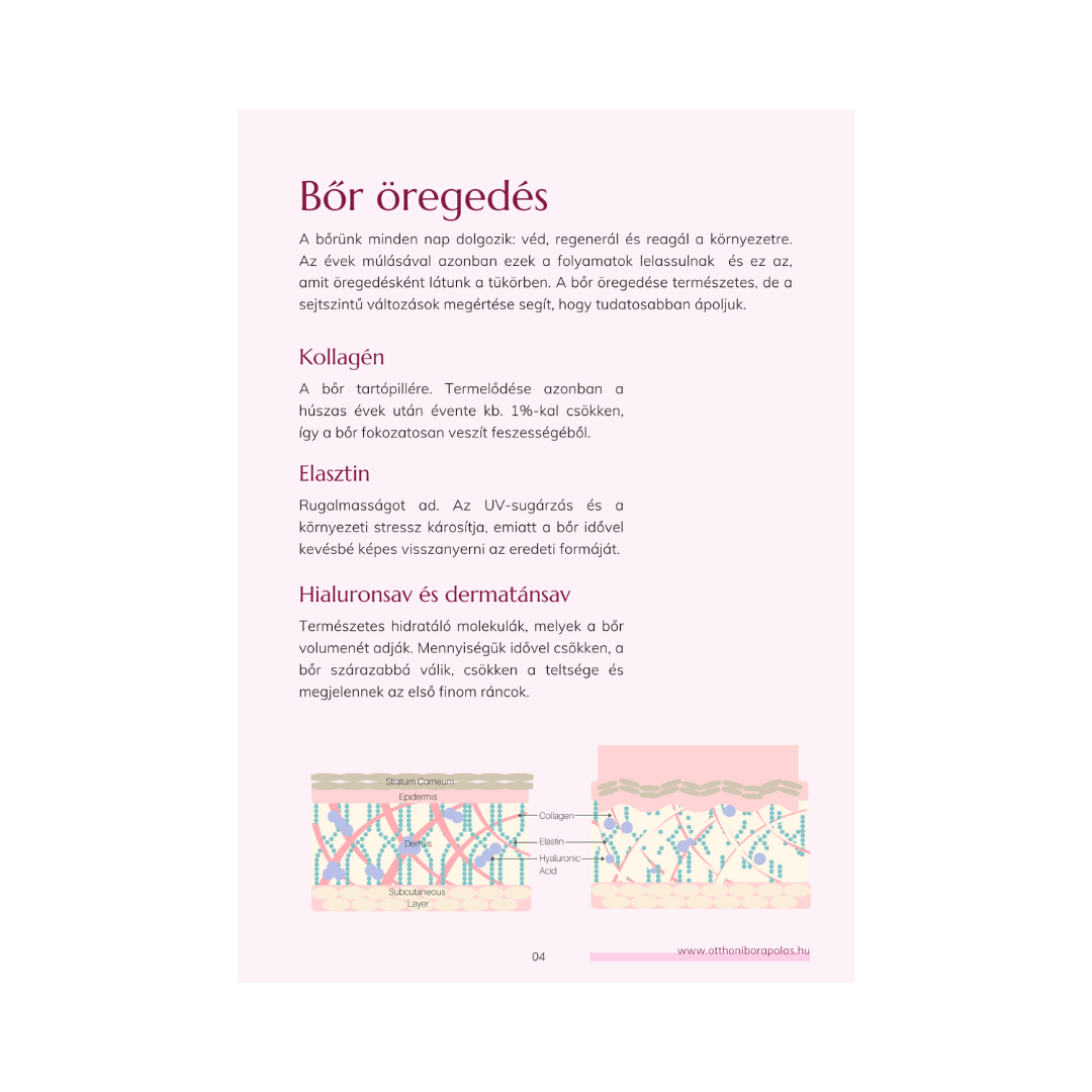 Anti-aging bőrápolási ebook - a bőr öregedése